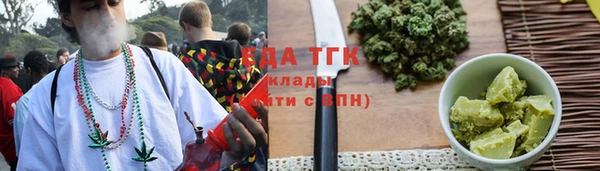 дмт Алзамай