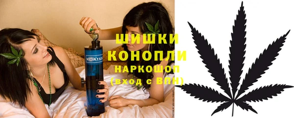 дмт Алзамай
