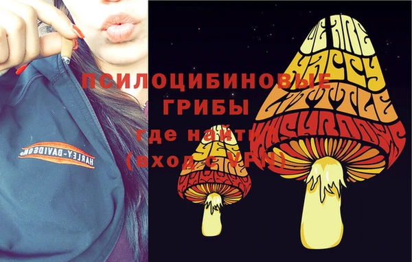 дмт Алзамай
