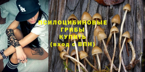 тгк Алексин